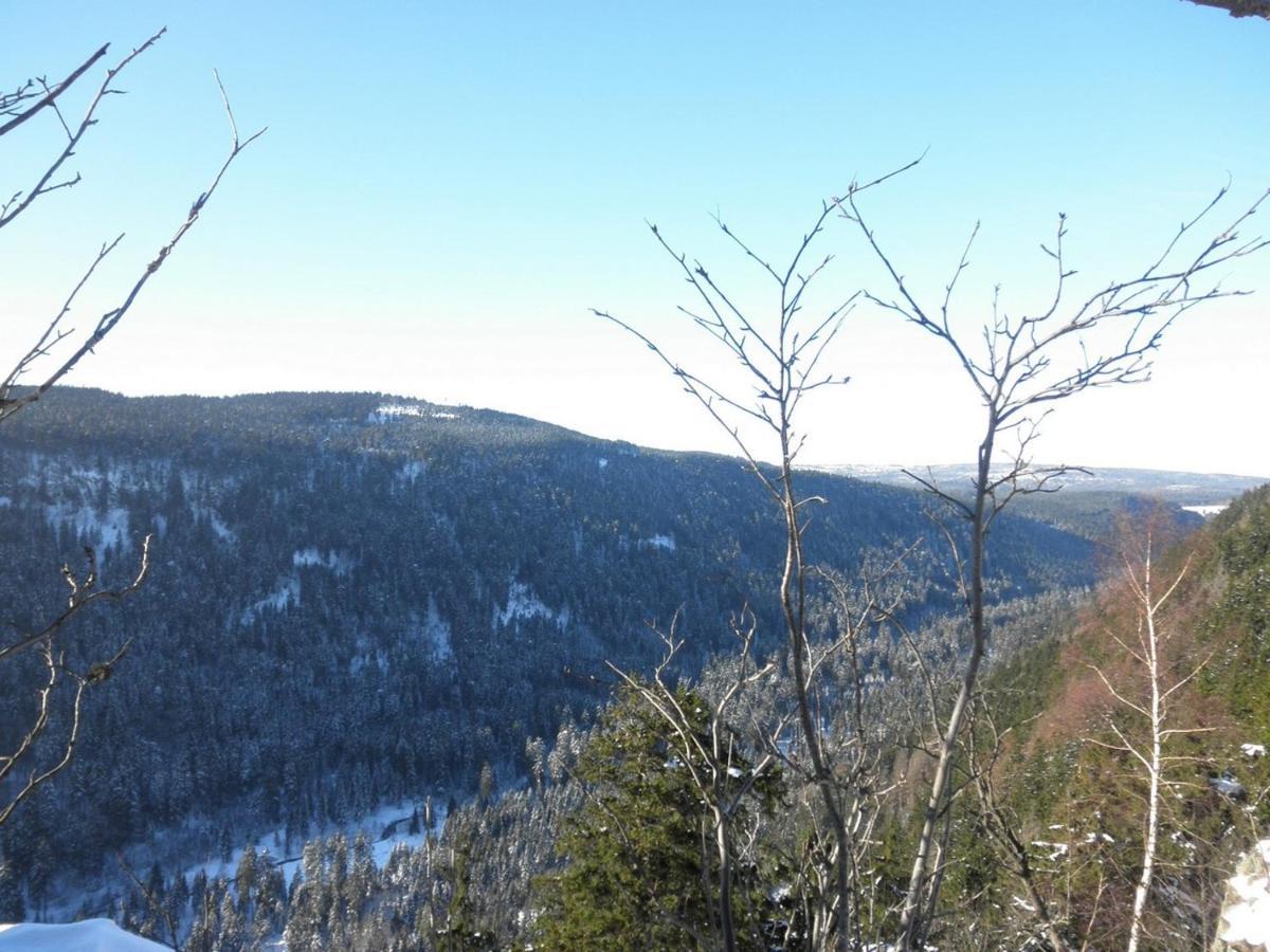 Gaestehaus Mea Vota Braunlage Kültér fotó